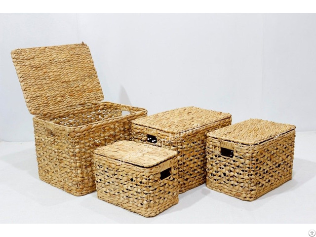 Best Selling Water Hyacinth Trunk Sd7984a 4na