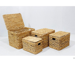 Best Selling Water Hyacinth Trunk Sd7984a 4na
