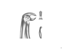 Extracting Forceps