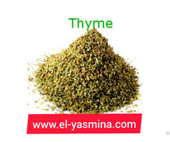 Egyptian Thyme