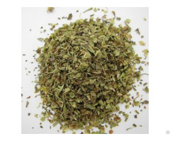 Oregano Egyptian