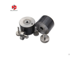 Tungsten Carbide Pressing Dies Stand High Pressures