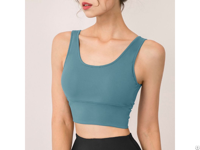 Basic Fitness Activewear Sports Bra