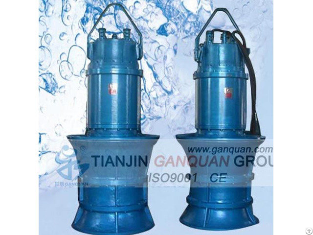 Submersible Propeller Pump