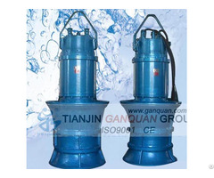 Submersible Propeller Pump