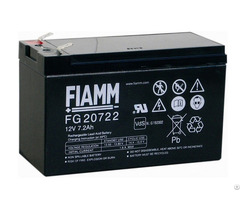 Fiamm Battery