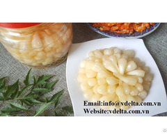 Canned Scallion Pickled Onion Vegetable Special Food From Vietnam