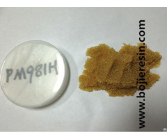 Silver Recovery Resin Bestion