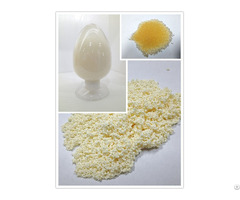 Camptothecin Adsorbent Resins