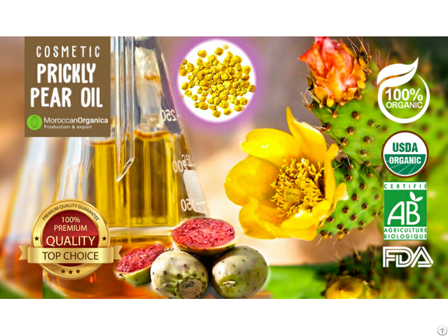 Organic Prickly Pear Seed Oil Wholesale