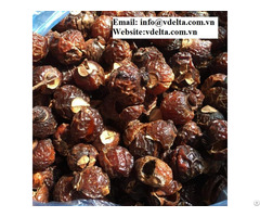 Sapindus Mukorossi Nut Organic Soap Certified