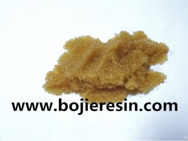 Macroporous Resin Purification Onion Flavonoids