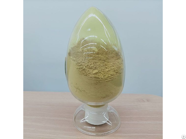 Manufacture Supplier Best Price Ginkgo Biloba Extract 24 0