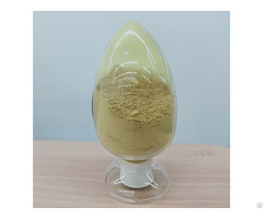 Manufacture Supplier Best Price Ginkgo Biloba Extract 24 0