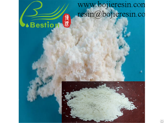 Macroporous Resins Purification Onion Flavonoids