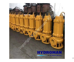 Hydroman™ Twq Submersible Sewage Pumps