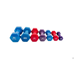 Neoprene 20lb Cheap Rubber Hex Dumbbell Set For Women