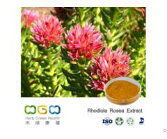 Rhodiola Rosea Extract Powder