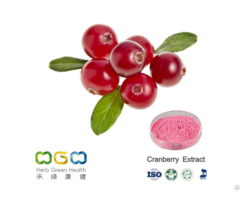 Cranberry Extract Powder