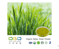 Organic Barley Grass Powder