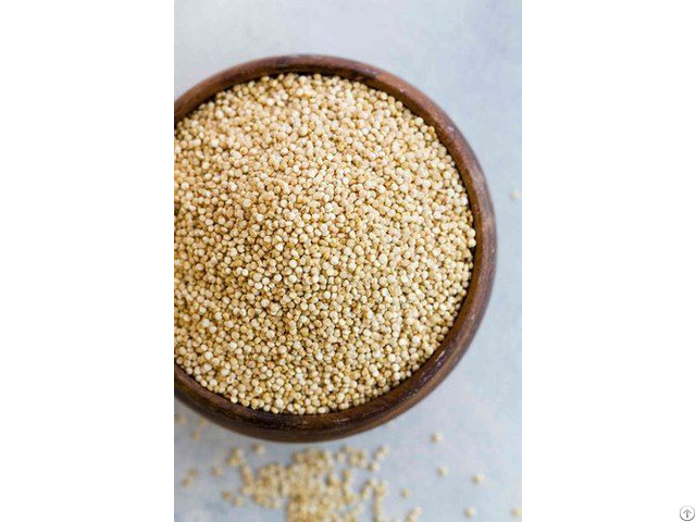 Indian Quinoa