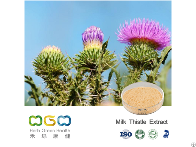 Milk Thistle Powder