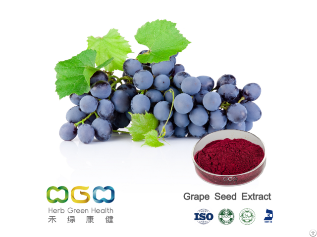 Grape Seed Powder