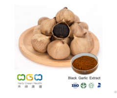 Black Garlic Powder