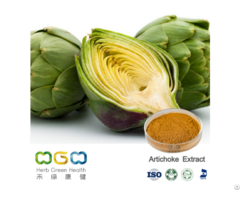 Artichoke Extract