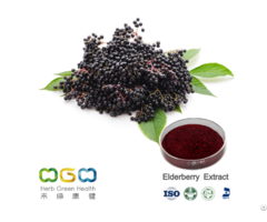 Elderberry Extract