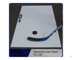 High Quality Synthetic Ice Hockey Rinks