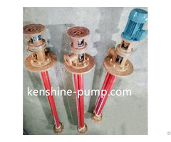 Fsy Fiberglass Immersilbe Centrifugal Pump