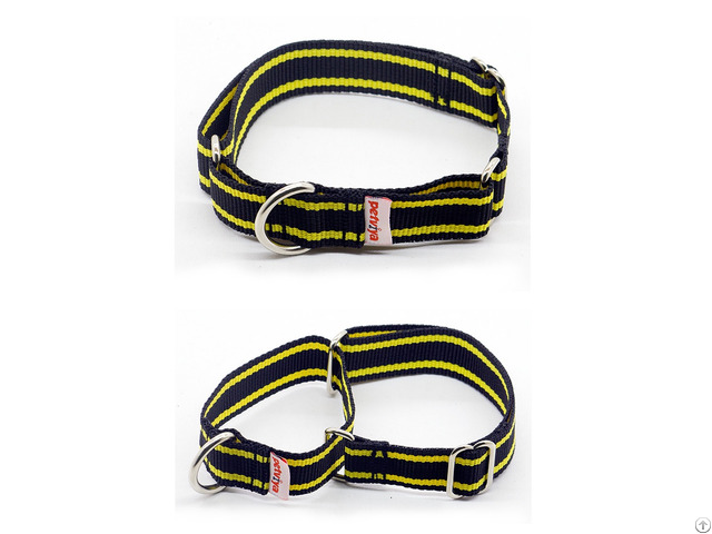 Martingale Dog Collar