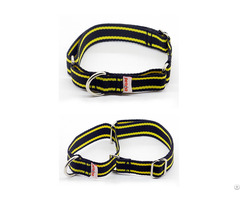 Martingale Dog Collar