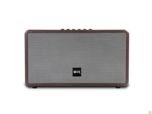 Bluetooth Live Speaker Dual Portable For Indoor Party