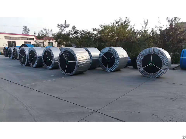 Anti Freeze Resistant Conveyor Belt