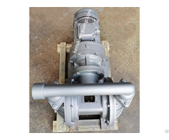 Electric Double Diaphragm Transfer Pump