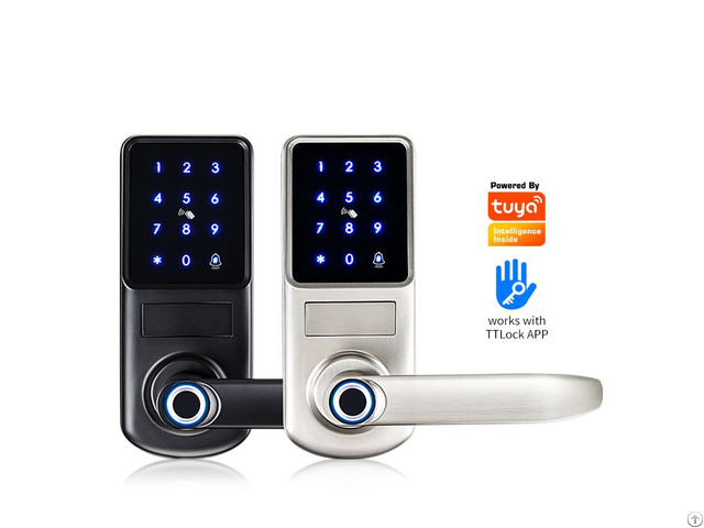 Smart Fingerprint Deadbolt Door Lock Ys 011