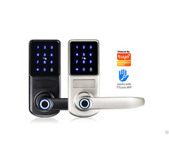 Smart Fingerprint Deadbolt Door Lock Ys 011