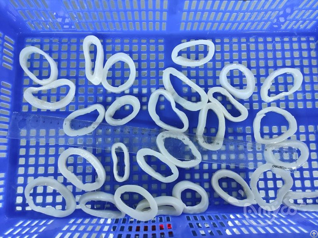 Frozen Squid Rings