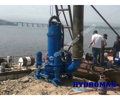 Hydroman™ A Tobee Brand Tjq350tjq1750 30 250 Submersible Slurry Pump