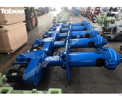 Tobee® 65qv Sp Vertical Slurry Pump