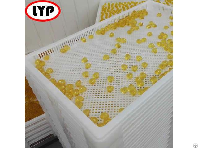 Softgel Drying Tray From China