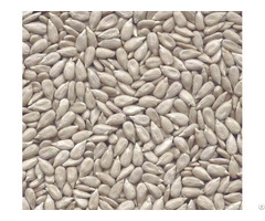 Bakery Grade Hulled Sunflower Seeds Kernels