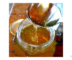 Acacia Lavender Bee Pollen Honey