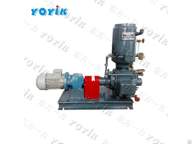 Pakistan Power Station Vacuum Pump 30 Ws From China