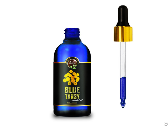 Moroccan Blue Tansy Essential Oil