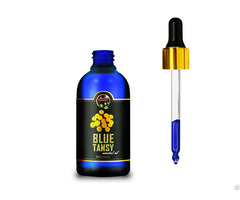 Moroccan Blue Tansy Essential Oil