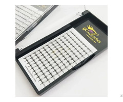 Wide Fan Volume Lashes