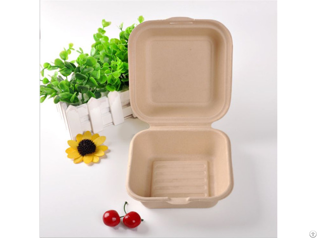 Biodegradable Tableware